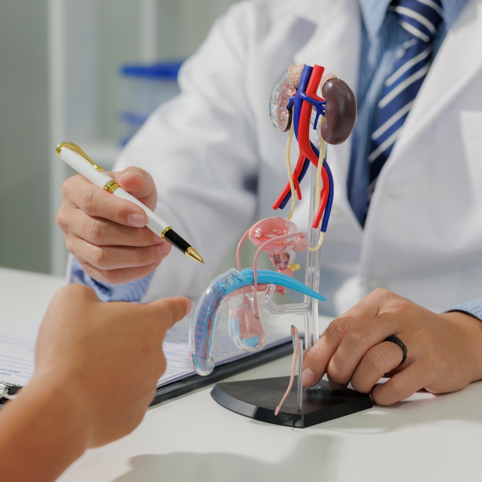 Medical consultation for male dysfunction. Seeking help for reproductive health issues.